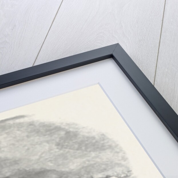 The Village of Boucharge Inundated by the Rhone, 1852 by Anonymous