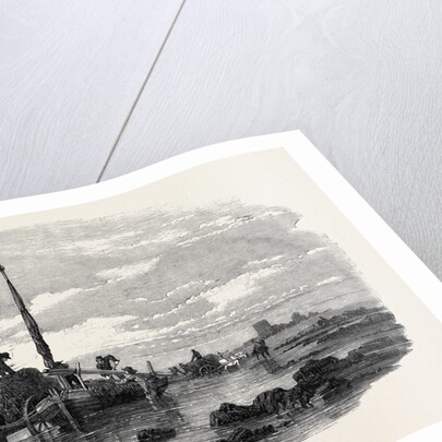 The Vraic or Seaweed Harvest Guernsey: Carting the Vraic by Anonymous
