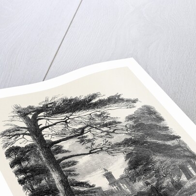 Osborne, View from the Park by Anonymous