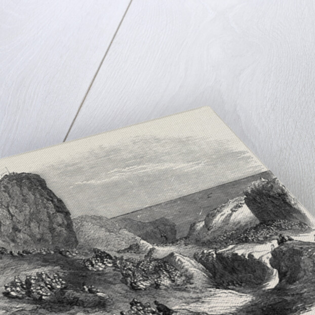 Musical Fete Champetre at Watcombe, Near Torquay, 1852 by Anonymous