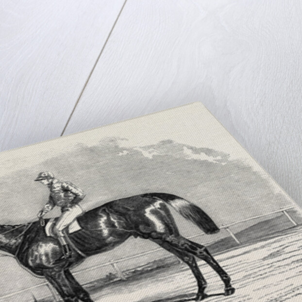 Kingston, the Winner of the Goodwood Cup, 1852 by Anonymous