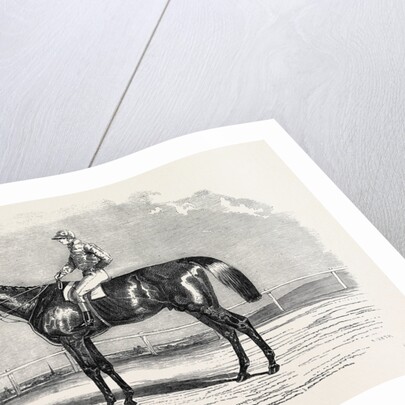 Kingston, the Winner of the Goodwood Cup, 1852 by Anonymous