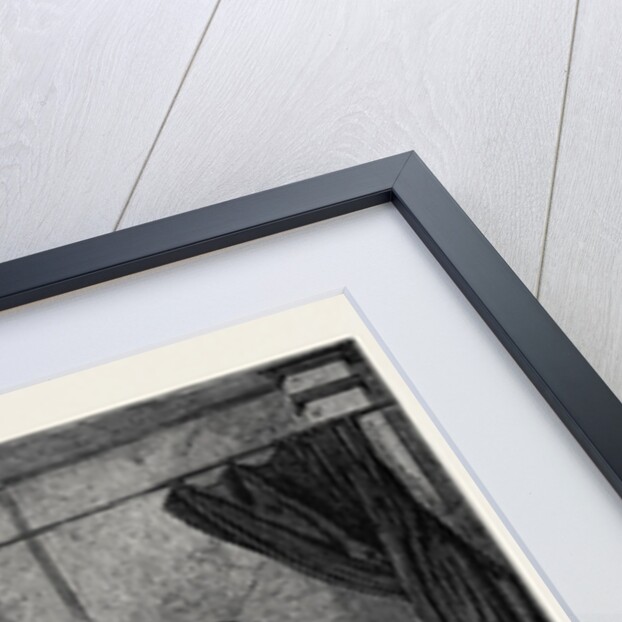 A New York Communist Advancing an Argument by Anonymous