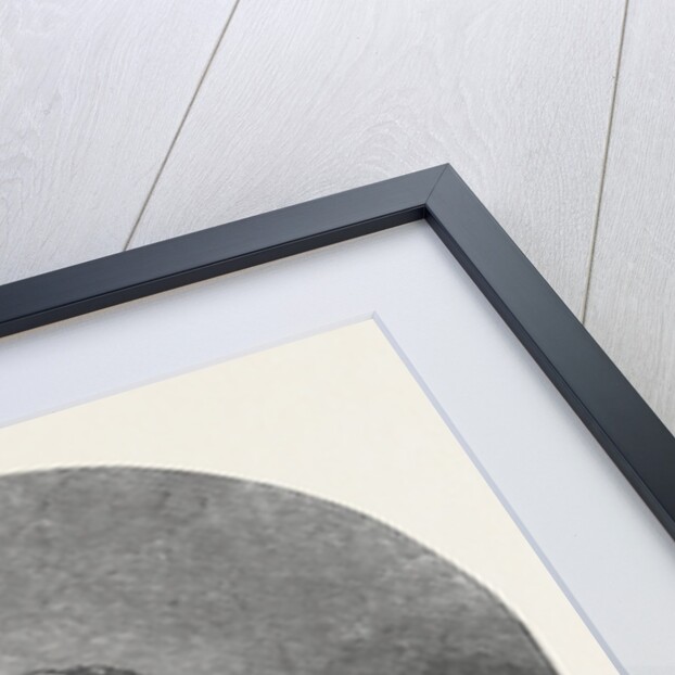 Bust of Lord Byron, 1852 by Anonymous