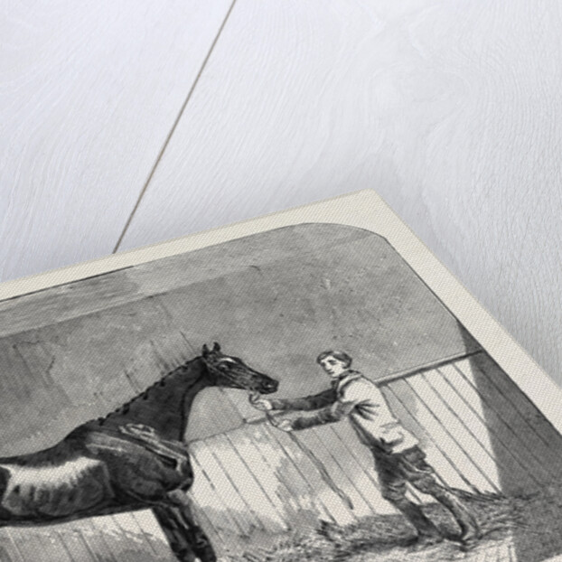 Lord John Scott's the Reiver, Winner of the July Stakes, at Newmarket, 1852 by Anonymous