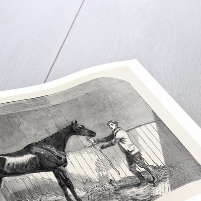 Lord John Scott's the Reiver, Winner of the July Stakes, at Newmarket, 1852 by Anonymous