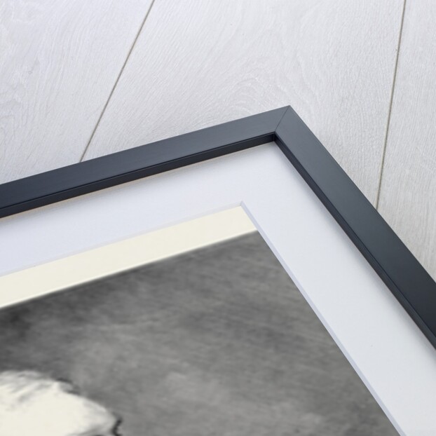 General Sir Frederick Paul Haines G.C.B. C.I.S. Commander-in-Chief of the Army in India 1879 by Anonymous