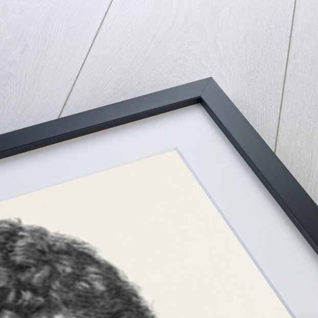 Princess Thyra of Denmark Duchess of Cumberland the Marriage Between Their Royal Highnesses the Duke of Cumberland Son of the Late King of Hanover and Princess Thyra Daughter of the Present King of Denmark by Anonymous