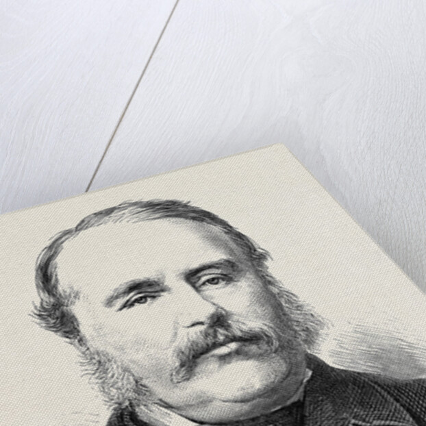 Colonel C.C. Johnson C.B. Quartermaster-General of the Army in India 1879 by Anonymous