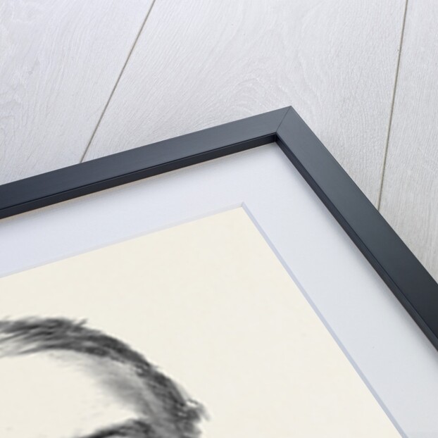 Colonel C.C. Johnson C.B. Quartermaster-General of the Army in India 1879 by Anonymous