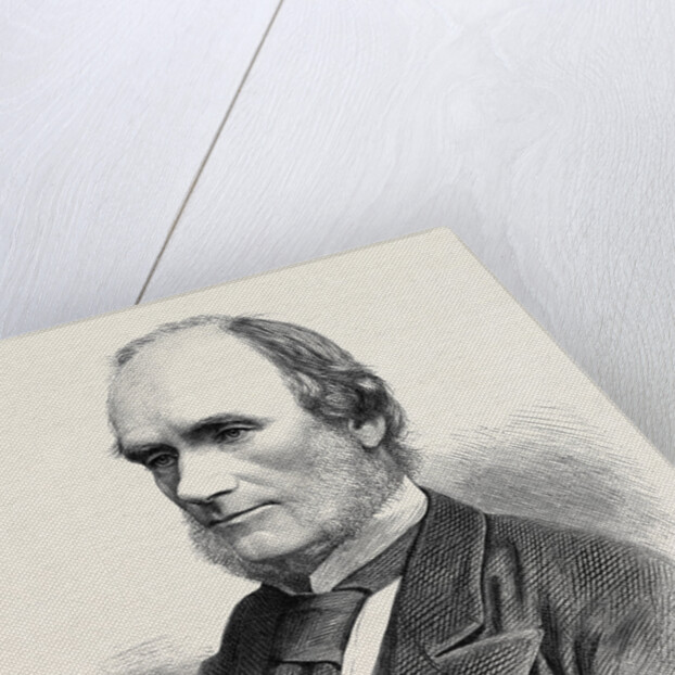 Mr. E.A. Bond Principal Librarian of the British Museum London 1879 by Anonymous