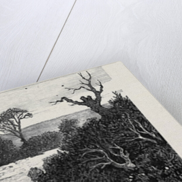 In the Meath Hunting Country: A Mile from Hollywood Rath House Eight Miles from Dublin Ireland 1879 by Anonymous