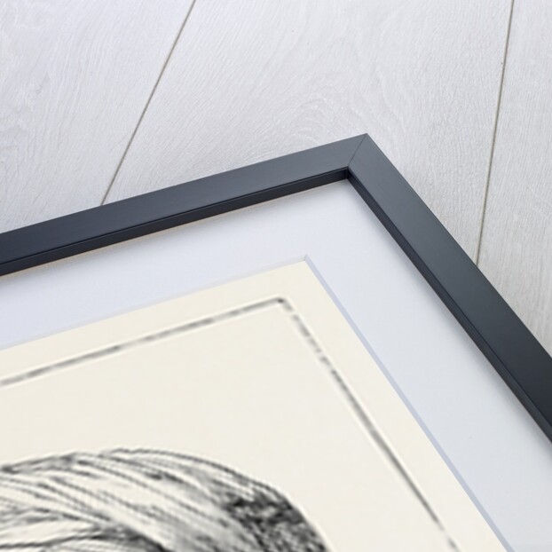 The War in Afghanistan: Men of Different Afghan Tribes: Mahaz Khan (a Tajik) Khan of Pesh Bolak 1879 by Anonymous