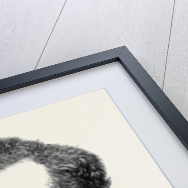 New Associates of the Royal Academy: Mr. J. Mac-Whirter A.R.A. 1879 by Anonymous