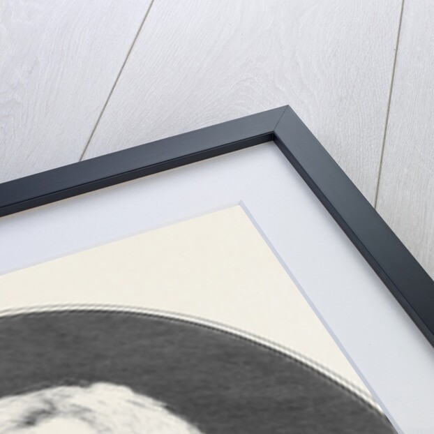 Cardinal Newman 1879 by Anonymous