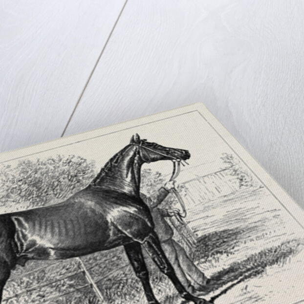 Isonomy Winner of the Ascot Cup 1879 by Anonymous