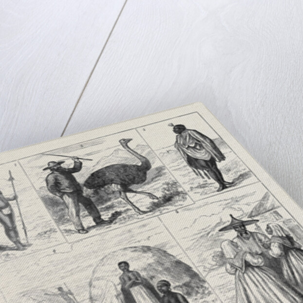 Sketches in South Africa by Anonymous