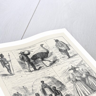 Sketches in South Africa by Anonymous