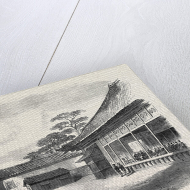 A Visit to the Tycoon of Japan: A Detachment of the 9th Regiment the Infantry Guard of the British Legation Reviewed Before the Tycoon 1867 by Anonymous