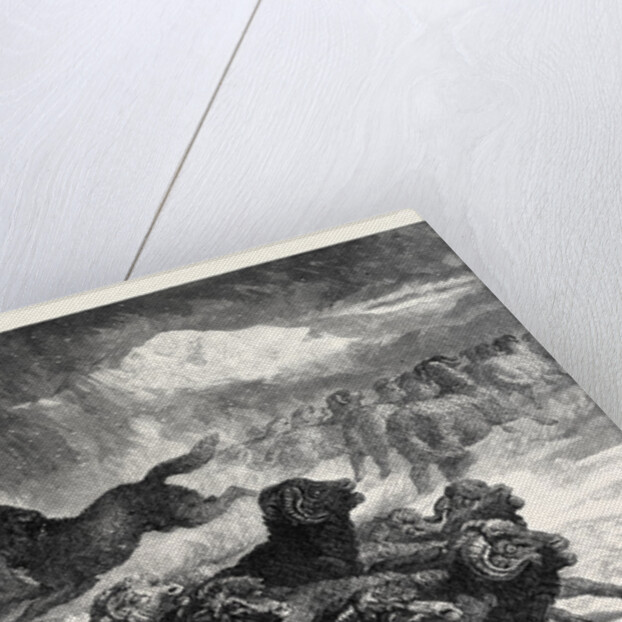 A Stampede from a Wolf, in the Exhibition of the Royal Academy 1867 by Anonymous