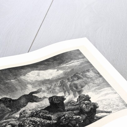 A Stampede from a Wolf, in the Exhibition of the Royal Academy 1867 by Anonymous