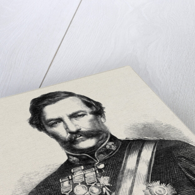 General Sir Robert Napier K.C.B. And G.C.S.I Commander of the Abyssinian Expedition 1867 by Anonymous