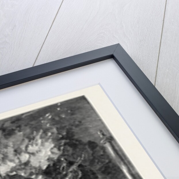 Great Fire in the Central Exchange Buildings Newcastle-on-Tyne UK 1867 by Anonymous