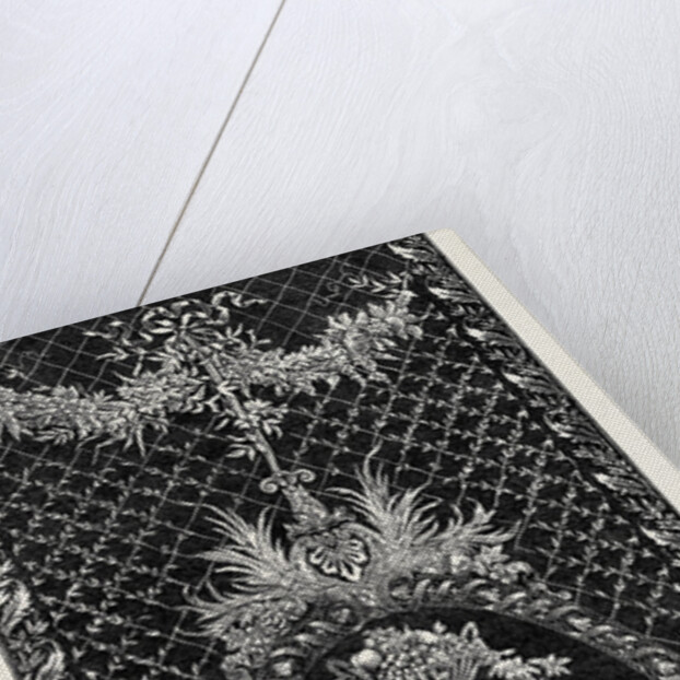 The Paris International Exhibition: French Embroidered Muslin France 1867 by Anonymous