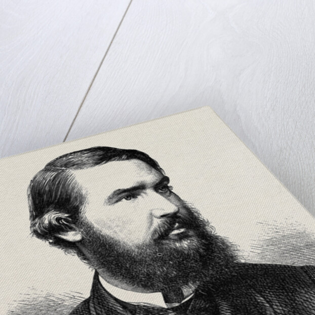 Earl Brownlow 1867 by Anonymous