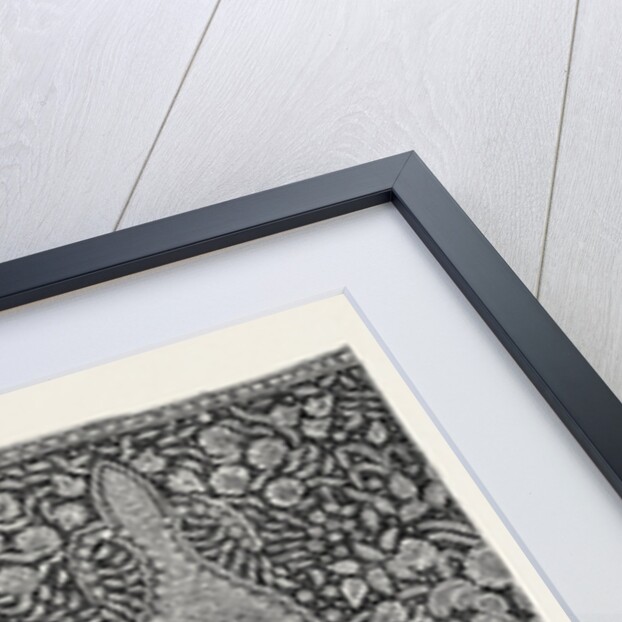 Honiton Lace Flounce, Regent Street London, the International Exhibition 1862, G.F. Urling by Anonymous