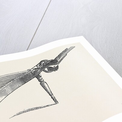 The International Exhibition: Mitchel's Type-Composing Machine 1862 by Anonymous