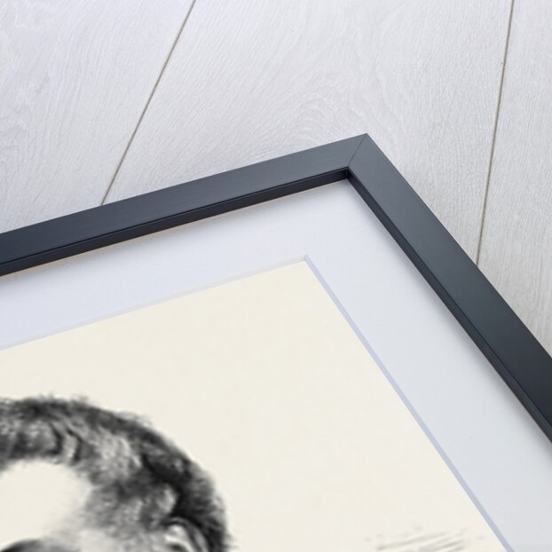 The Late Mr. Jonas Webb 1862 by Anonymous