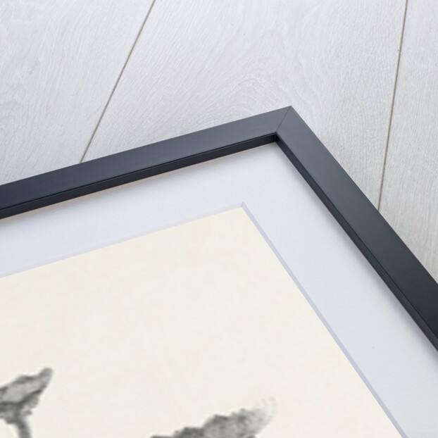 Testimonial to Major-General Sir Andrew Scott Waugh Late Surveyor-General of India 1862 by Anonymous