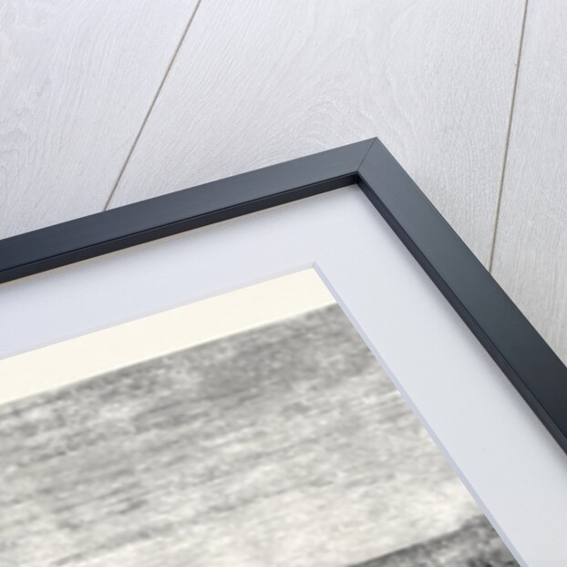 Viaduct Over the Taptee Near Surat for the Bombay Baroda and Central India Railway 1862 by Anonymous