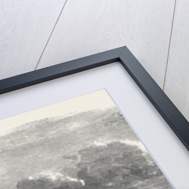 The Shellfish Supplies: Shellfish Catchers' Cottage at Canty Bay 1862 by Anonymous