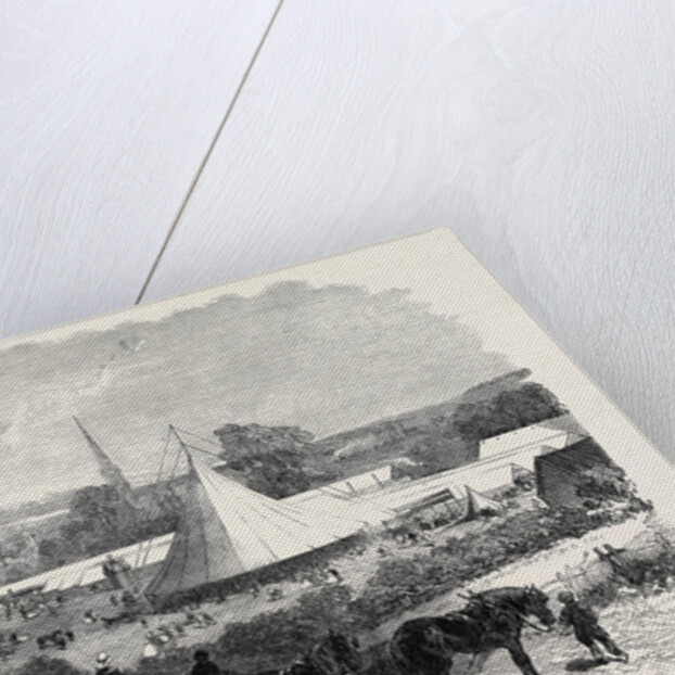 Bath and West of England Agricultural Society's Meeting at Salisbury: The Show Yard UK 1866 by Anonymous