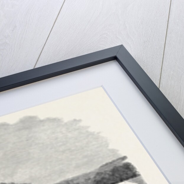 Bath and West of England Agricultural Society's Meeting at Salisbury: The Show Yard UK 1866 by Anonymous