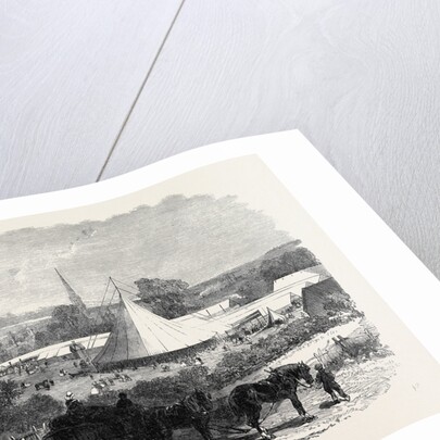 Bath and West of England Agricultural Society's Meeting at Salisbury: The Show Yard UK 1866 by Anonymous