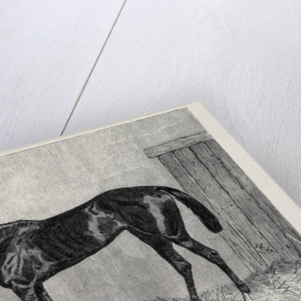Tormentor the Winner of the Oaks 1866 by Anonymous