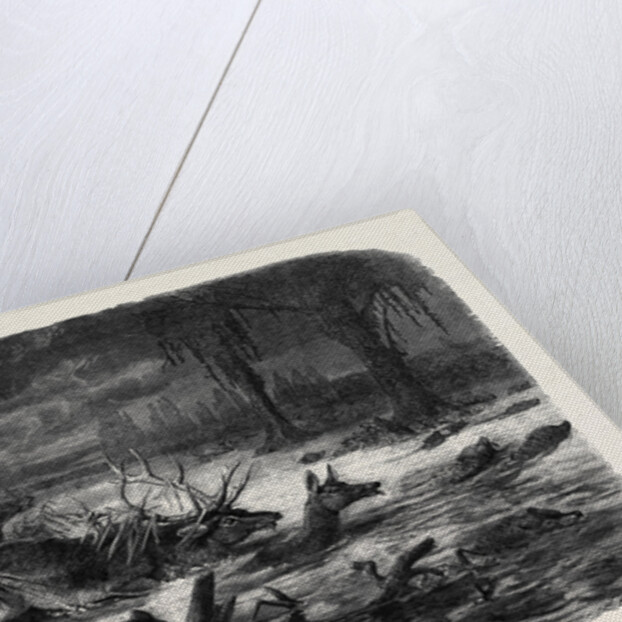 Animals Taking Refuge from a Prairie Fire by Anonymous