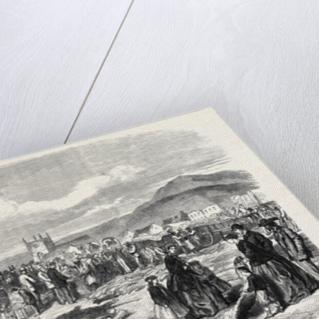 Ivory and Skins for Sale in the Grahamstown Market Cape Colony 1866 by Anonymous