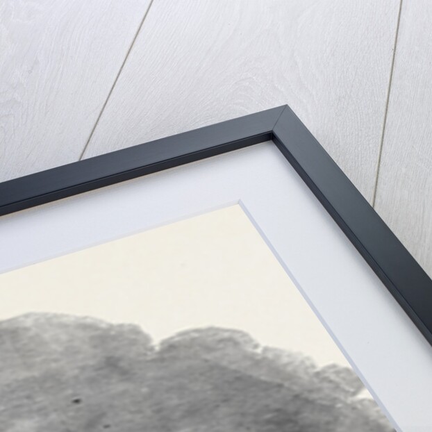 Departure of His Royal Highness Prince Albert for Germany, the Princess Alice Government Steamer. by Anonymous