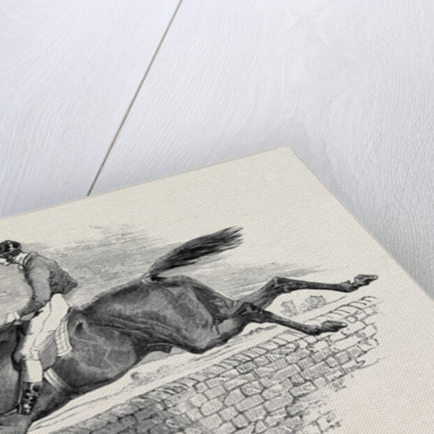 Lottery, the Celebrated Steeple Chase Winner. by Anonymous