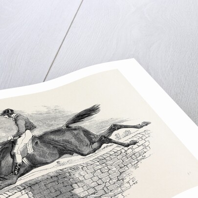 Lottery, the Celebrated Steeple Chase Winner. by Anonymous