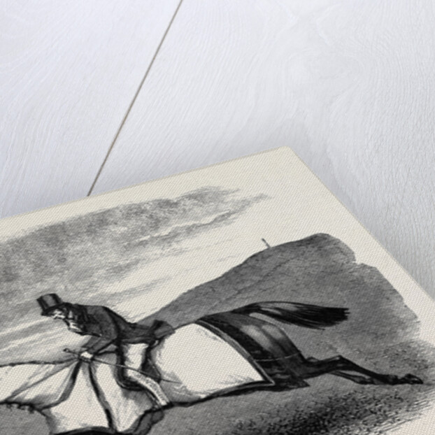 Horse Training. by Anonymous