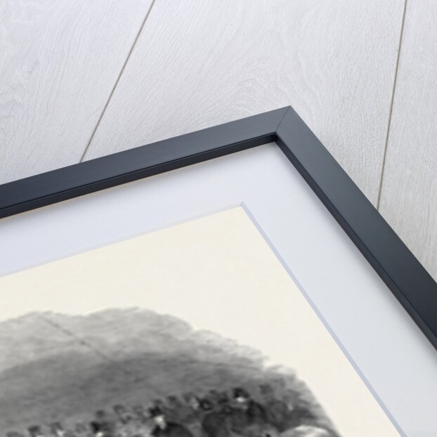 Epsom Races, the Betting Ring by Anonymous