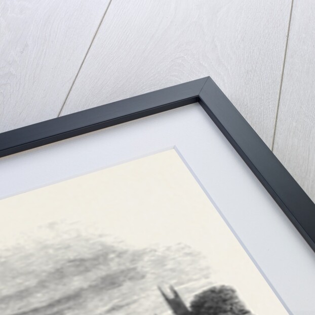 Picture Model of Old London, at the Surrey Zoological Gardens by Anonymous