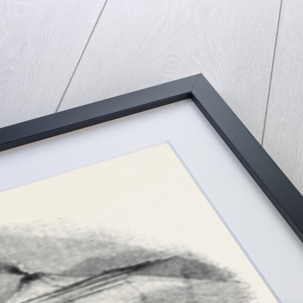 Victoria Land, in the South-Polar Regions, Discovered by Capt. Sir J.C. Ross by Anonymous