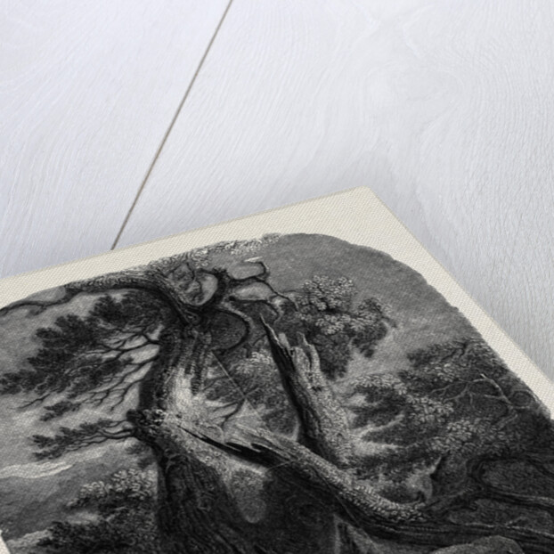 Specimen of Wood Engraving, the Death of the Children of Niobe by Anonymous