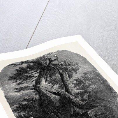 Specimen of Wood Engraving, the Death of the Children of Niobe by Anonymous